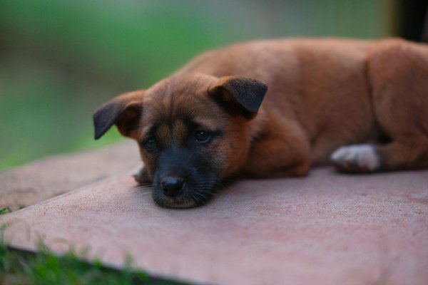 How Will Emerging Technologies Impact UK Society in the Next Decade?